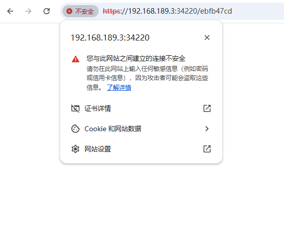 不安全网站示例